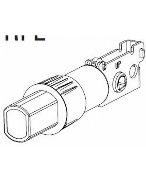 Loading from Primary Photo