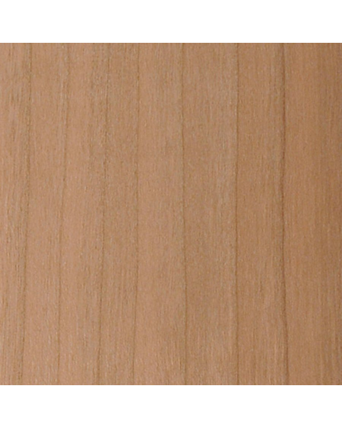 Loading from Primary Photo