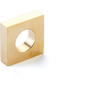 Unlacquered Brass