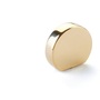 Unlacquered Brass