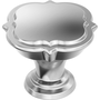 Polished Chrome