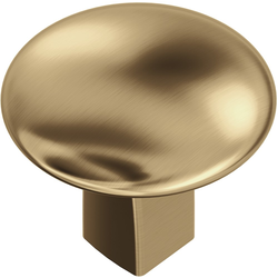Riva 1-1/4 Inch Diameter Cabinet Knob, Champagne Bronze