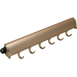 20% OFF 15-1/4 Inch Length TAG Synergy Elite Fixed Belt Rack, 6 Hooks, Matt Gold