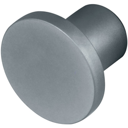 20% OFF 1 Inch Diameter TAG Synergy Elite Valet Button, Matt Aluminum