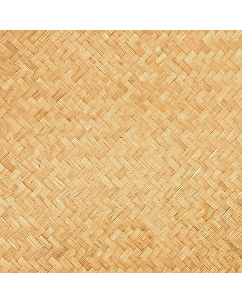 Loading from Primary Photo