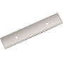 Polished Nickel