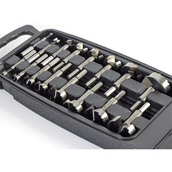 Amana 670160 16 Piece Forstner Drill Set with Hex Shanks, 1/4" to 2-1/8" in 1/8" Increments Plus 1-35mm Hinge Drilling Bit