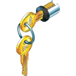 CompX LP-100 Black Lock Plug for Use In All Removable Core Cylinder Bodies, Keyed Alike #100