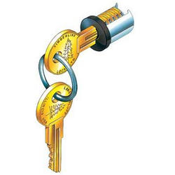 CompX LP-100 Black Lock Plug for Use In All Removable Core Cylinder Bodies, Keyed Alike #101