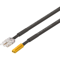 Loox5 78-3/4" Length Lead for COB Lighting, 12V