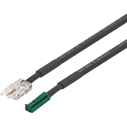 Hafele 19-11/16" (500mm) Length LED COB Tapelight Connecting Lead for 24V Monochrome and 2-Wire Multi-White Tunable Strip Lights