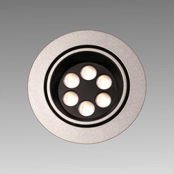 Big6/2-LED Stainless Swivel Spotlight, Cool White