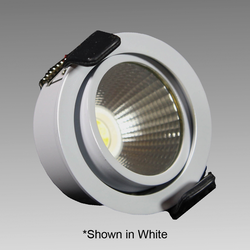 SR45-LED Stainless Swivel Recess Mount Spotlight Warm White