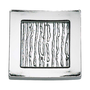 Polished Chrome