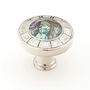 Polished Nickel