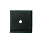 Medium Bronze