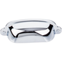 Polished Chrome