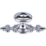 Polished Chrome