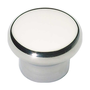 Polished Stainless Steel