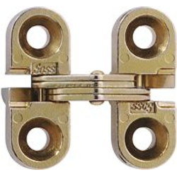 #100 Invisible Hinge Satin Brass (Sold as Pair)