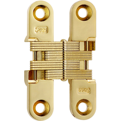  SOSS 204 Invisible Hinge for 3/4 Inch Minimum Door Thickness, 1/2 Inch Width x 2-3/8 Inch Height x 23/32 Inch Depth, Polished Brass