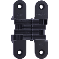 #216 Fire Rated Invisible Hinge Black E Coat