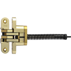 #216 Invisible Spring Closer Hinge Polished Brass