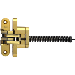 #216 Invisible Spring Closer Hinge Satin Brass