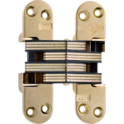 #218 Fire Rated Invisible Hinge Polished Brass