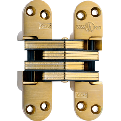 #218 Fire Rated Invisible Hinge Satin Brass