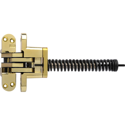 #218 Invisible Spring Closer Hinge Polished Brass