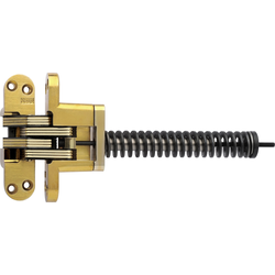 #218 Invisible Spring Closer Hinge Satin Brass