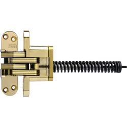 SOSS 220 Invisible Hinge with Closer, 1-3/8 Inch Width x 4-5/8 Inch Height x 1-41/64 Inch Depth plus 7-3/8 Inch Spring, 2 Inch Min. Door Width, Polished Brass