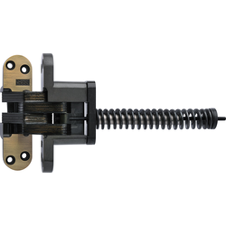  SOSS 220 Invisible Hinge with Closer, 1-3/8 Inch Width x 4-5/8 Inch Height x 1-41/64 Inch Depth plus 7-3/8 Inch Spring, 2 Inch Min. Door Width, Antique Brass