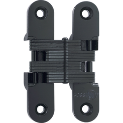 #416 Fire Rated Invisible Hinge Black E Coat