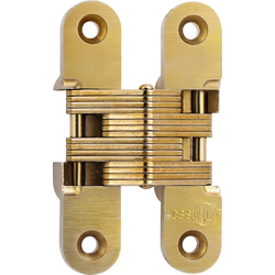 #416 Fire Rated Invisible Hinge Satin Brass