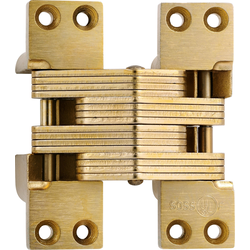 #420 Fire Rated Invisible Hinge Satin Brass