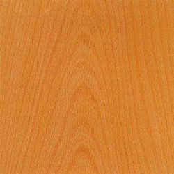 Beech Edgebanding 7/8 inch Wide No Glue 500 feet Roll