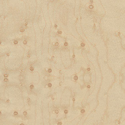 Cross Grain Wood Backer