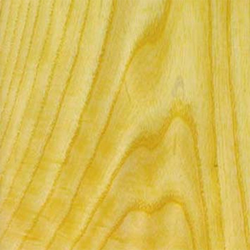 Peel &amp; Stick Adhesive