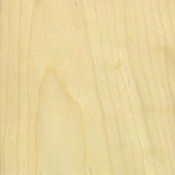 White Birch Edgebanding 1-5/8 inch Wide No Glue 500 feet Roll