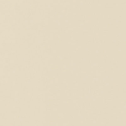 Wilsonart Caulk 5.5 oz Tube, Beige (1530)
