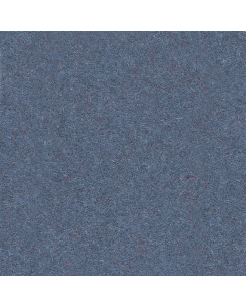 Loading from Primary Photo