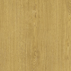 Wilsonart Caulk 5.5 oz, Solar Oak (7816)