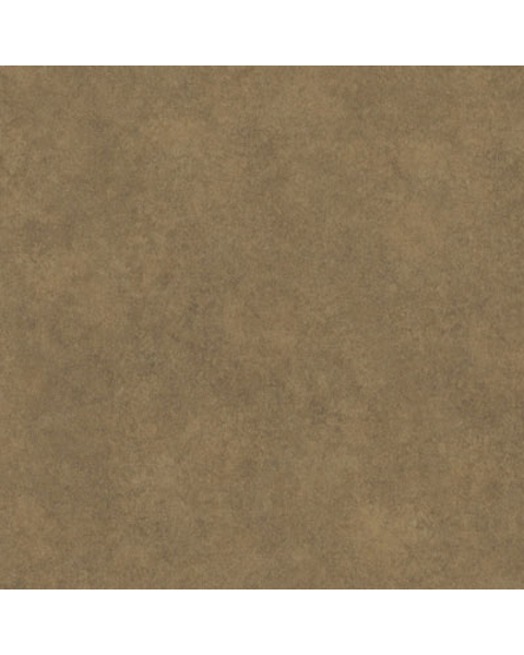 Loading from Primary Photo