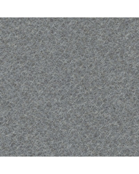 Loading from Primary Photo