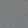 Carbon EV