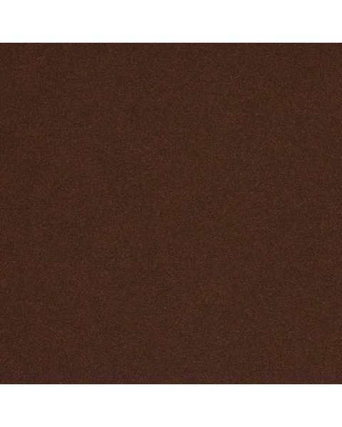 Loading from Primary Photo