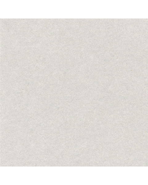 Loading from Primary Photo