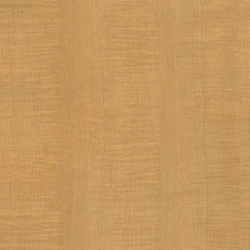 Monticello Maple Edgebanding, 15/16 inch x 600'